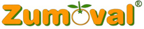 Логотип ZUMOVAL