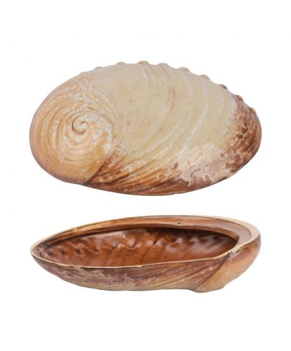 Салатник 365 мл 19*14,5 см h5 см Pearl Ammonite Shell Frutti di Mare P.L. [1] (2)