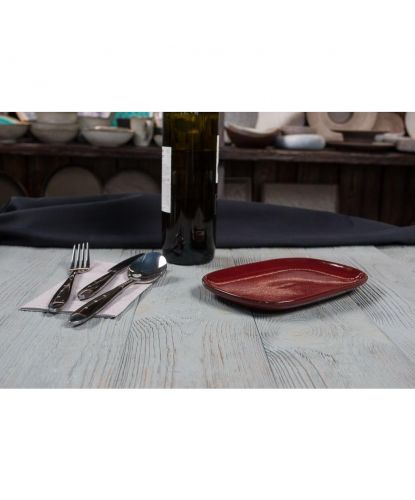 Блюдо овальное 20*13*1,9 см Evolution Dark Red P.L. Proff Cuisine [1] (2)