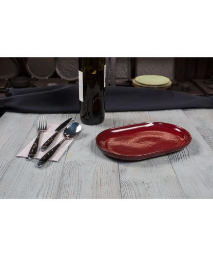 Блюдо овальное 25*16*2,4 см Evolution Dark Red P.L. Proff Cuisine [1] (3)