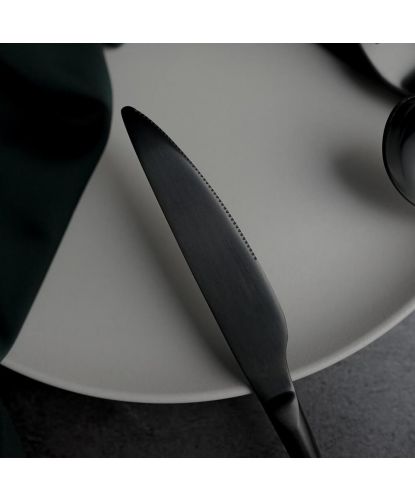 Нож столовый 23,5 см матовый черный PVD Alessi-Black P.L. [12] (2)