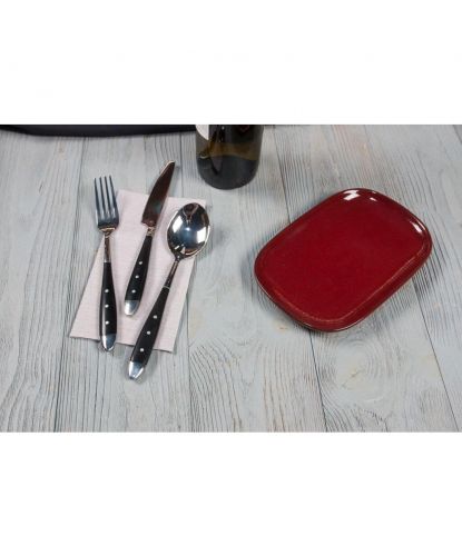 Блюдо овальное 20*13*1,9 см Evolution Dark Red P.L. Proff Cuisine [1] (5)