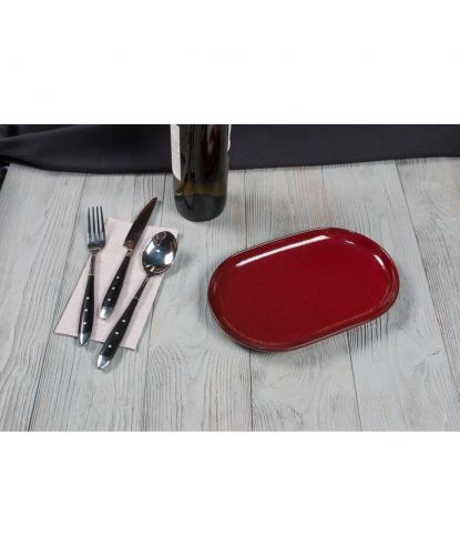 Блюдо овальное 25*16*2,4 см Evolution Dark Red P.L. Proff Cuisine [1] (5)
