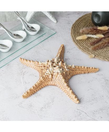 Блюдо для подачи 28*28 см h6 см 100 мл Звезда Pearl Starfish Frutti di Mare P.L. [1] (16)