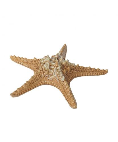 Блюдо для подачи 28*28 см h6 см 100 мл Звезда Pearl Starfish Frutti di Mare P.L. [1] (6)