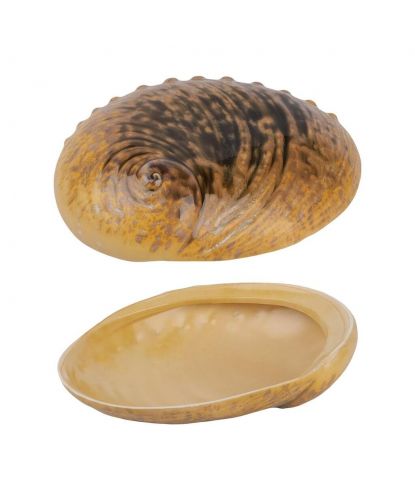Салатник 365 мл 19*14,5 см h5 см Light Pearl Ammonite Shell Frutti di Mare P.L. [1] (2)