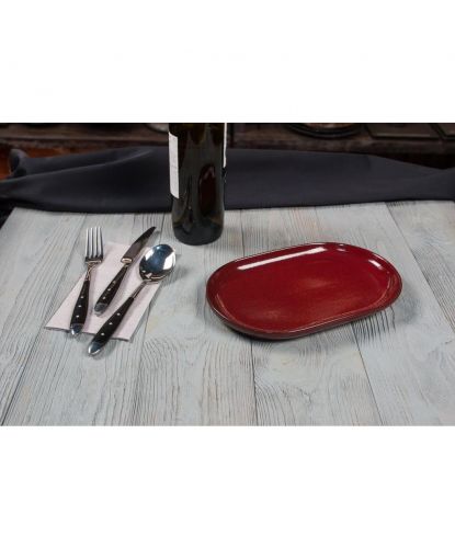 Блюдо овальное 25*16*2,4 см Evolution Dark Red P.L. Proff Cuisine [1] (4)