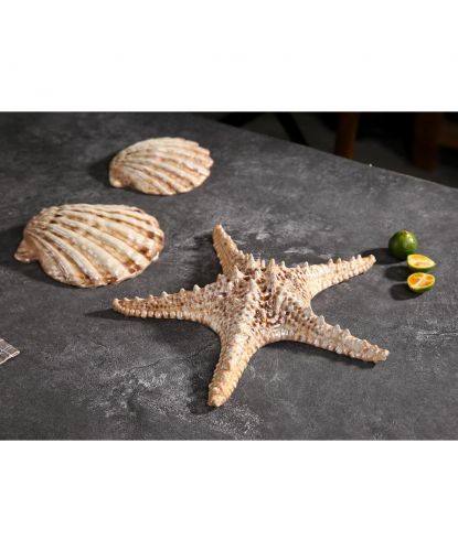 Блюдо для подачи 28*28 см h6 см 100 мл Звезда Pearl Starfish Frutti di Mare P.L. [1] (4)