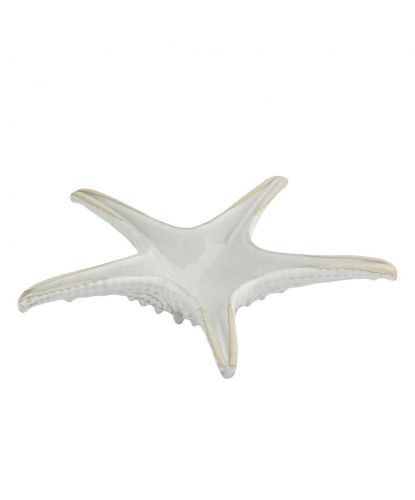 Блюдо для подачи 24 см h6 см Звезда Gray Starfish Frutti di Mare P.L. [1] (4)