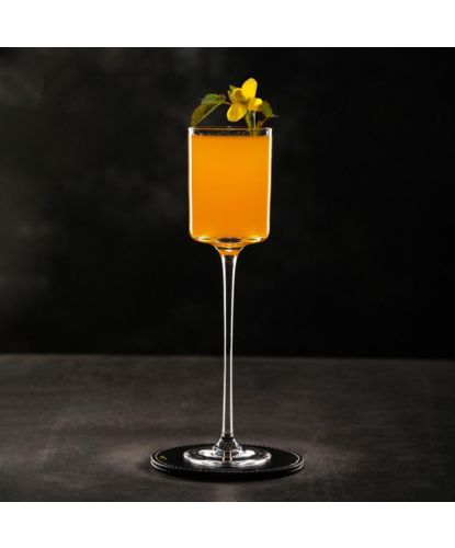 Рюмка коктейльная 150 мл "Las Tunas" Protea d 5,2 см h21,7 см Cocktail Week P.L. [6] (2)